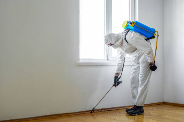 Best Pest Removal Services  in Twain Harte, CA
