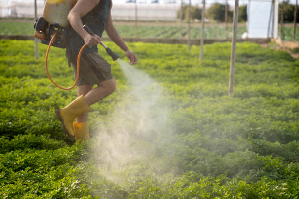 Best Emergency Pest Control  in Twain Harte, CA