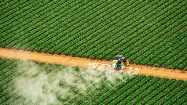 Insect Control in Twain Harte, CA