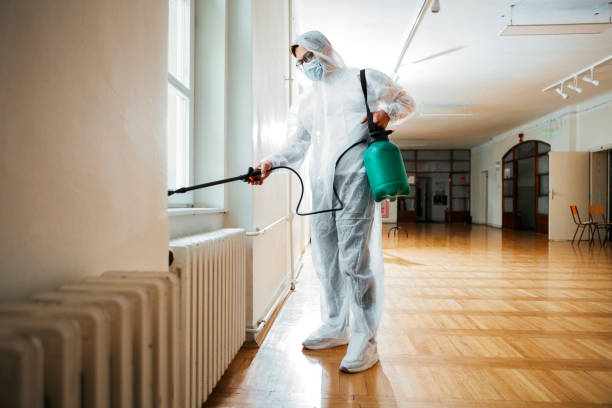 Professional Pest Control in Twain Harte, CA