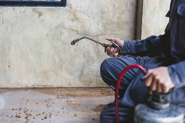 Best Flea Control Services  in Twain Harte, CA